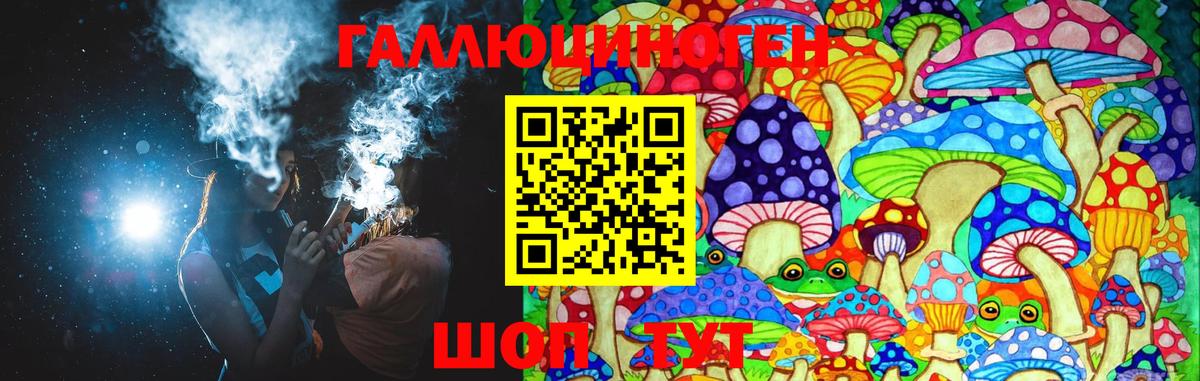 Лыткарино  Псилоцибиновые грибы Psilocybine cubensis  Вход с VPN 
